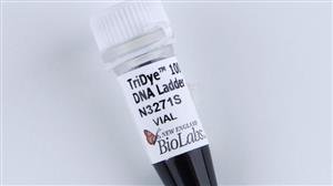 N3271S | TriDye 100 bp DNA Ladder 125 gel lanes