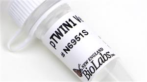 N6951S | pTWIN1 Vector DNA 10 g
