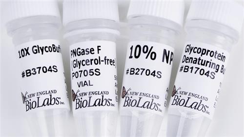 P0705S | PNGase F Glycerol free 15000 units