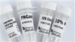 P0707L | PNGase A 750 units
