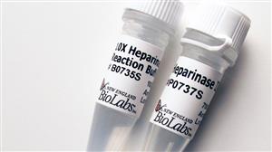 P0737L | Bacteroides Heparinase III 35 units