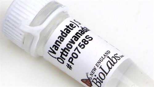 P0758L | Sodium Orthovanadate Vanadate 5 ml