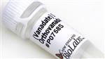 P0758L | Sodium Orthovanadate Vanadate 5 ml