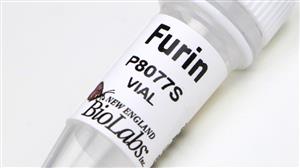 P8077S | Furin 50 units