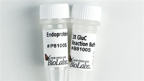 P8100S | Endoproteinase GluC 50 g