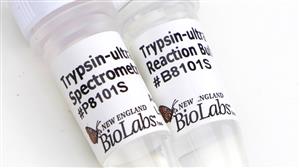 P8101S | Trypsin ultra Mass Spectrometry Grade 100 g