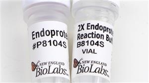 P8104S | Endoproteinase AspN 50 g