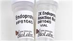 P8104S | Endoproteinase AspN 50 g