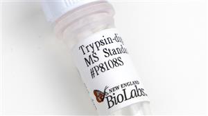 P8108S | Trypsin digested BSA MS Standard CAM modified 500