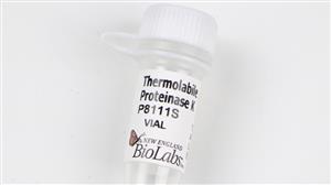 P8111S | Thermolabile Proteinase K 30 units