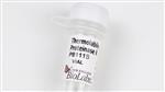 P8111S | Thermolabile Proteinase K 30 units