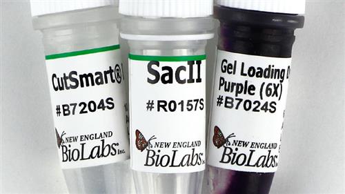 R0157L | SacII 10000 units