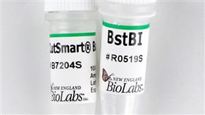 R0519L | BstBI 12500 units