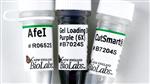 R0652L | AfeI 1000 units
