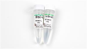 R0667L | BtsI v2 2500 units