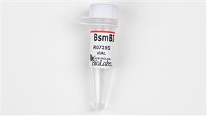 R0739S | BsmBI v2 200 units