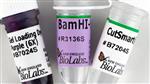 R3136T | BamHI HF 10000 units