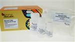T2030L | Monarch Spin RNA Cleanup Kit 10 g 100 preps