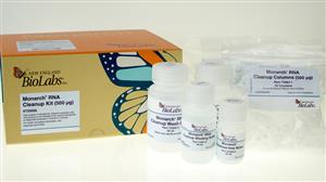T2050L | Monarch Spin RNA Cleanup Kit 500 g 100 preps
