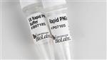 P0710S | Rapid PNGase F 50 reactions