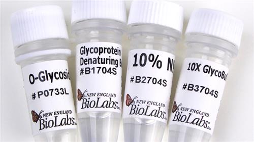 P0733S | O Glycosidase 2000000 units