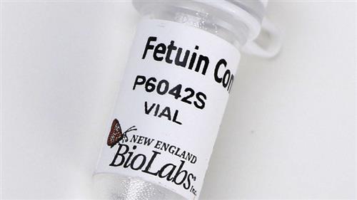 P6042S | Fetuin 500 g
