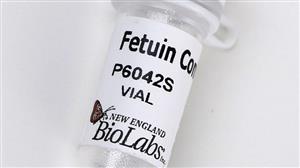 P6042S | Fetuin 500 g