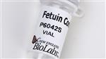 P6042S | Fetuin 500 g