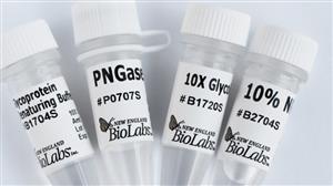 P6044S | Protein Deglycosylation Mix II 20 reactions