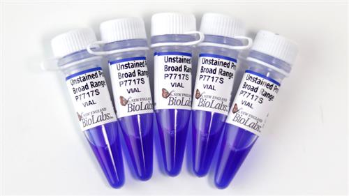 P7717S | Unstained Protein Standard Broad Range 150 gel lan