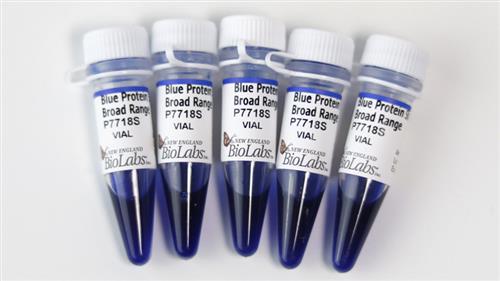 P7718L | Blue Prestained Protein Standard Broad Range 11 25