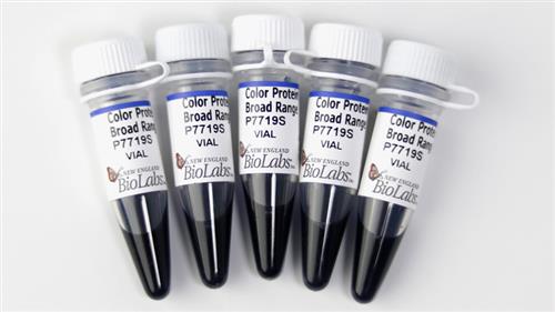 P7719S | Color Prestained Protein Standard Broad Range 10 2