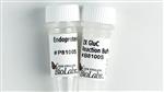 P8100S | Endoproteinase GluC 50 g