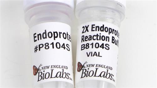 P8104S | Endoproteinase AspN 50 g