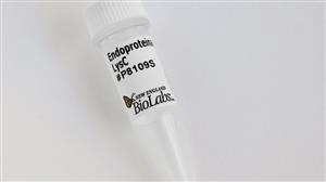 P8109S | Endoproteinase LysC 20 g
