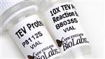 P8112S | TEV Protease 1000 units