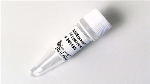 P8115S | NEBExpress T4 Lysozyme 200 g