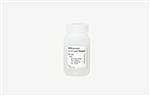 P8116S | NEBExpress E. coli Lysis Reagent 100 ml