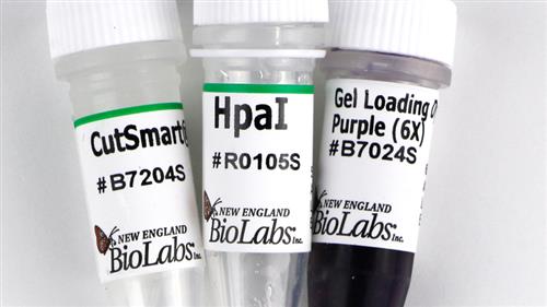 R0105S | HpaI 500 units