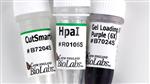 R0105S | HpaI 500 units