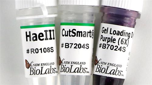 R0108T | HaeIII 3000 units