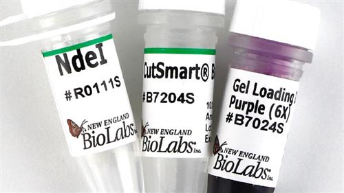 R0111L | NdeI 20000 units