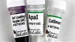 R0114S | ApaI 5000 units