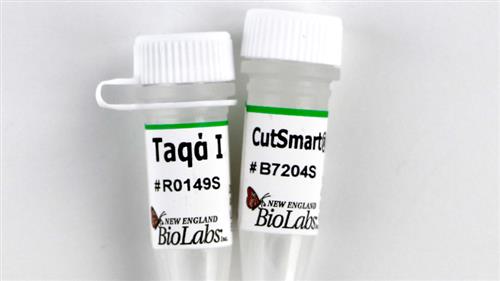 R0149S | TaqI v2 4000 units