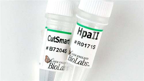 R0171S | HpaII 2000 units