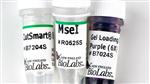 R0525L | MseI 2500 units