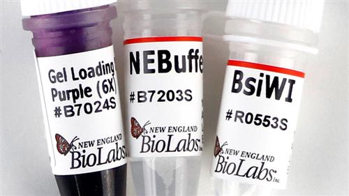 R0553S | BsiWI 300 units