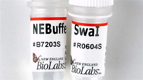 R0604S | SwaI 2000 units