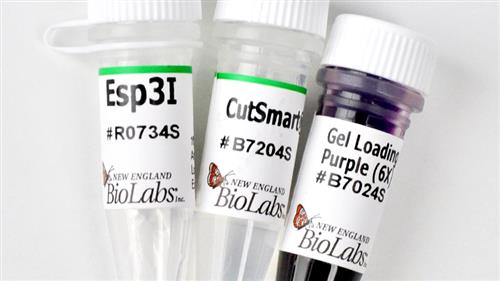 R0734S | Esp3I 300 units