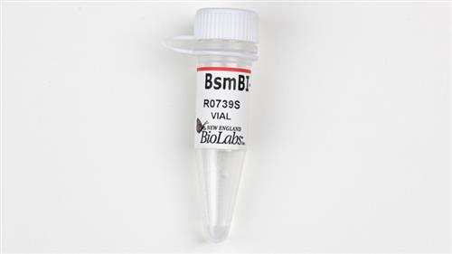 R0739L | BsmBI v2 1000 units